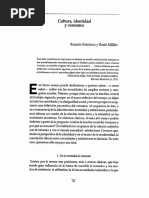 4. Cultura, Identidad y Consumo