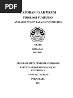 Download 96177836-ANALISIS-PIGMENdocx by Mila Hulqie SN377962325 doc pdf