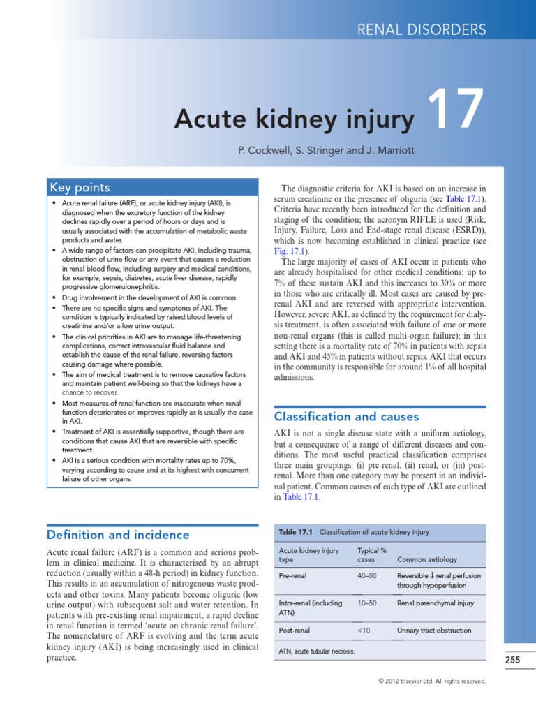 Aki - Kidney - Chronic Kidney Disease - 웹
