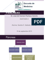 Pancreas 151204062330 Lva1 App6891 PDF