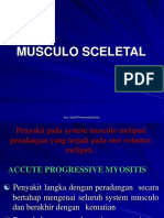 Sistem Musculo Sceletal