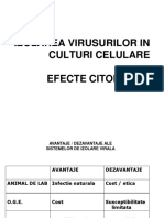 Culturi de celule.pdf