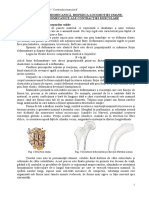 Contractie_musculara_Biomecanica-MG-2010-2011.pdf