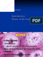 Bone Introduction and Forelimb Bonessdcs