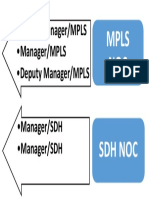 Senior Manager/MPLS - Manager/MPLS - Deputy Manager/MPLS