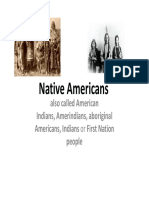 Native Americans: Also Called American Indians, Amerindians, Aboriginal Americans, Indians or First Nation People