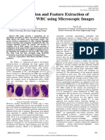 Segmentation and Extraction Feature