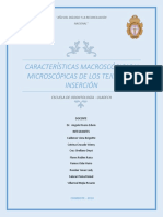 Características Macroscópicas y Microscópicas de Los Tejidos de Inserción 2