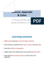 Colon, Caecum & Appendix 2017