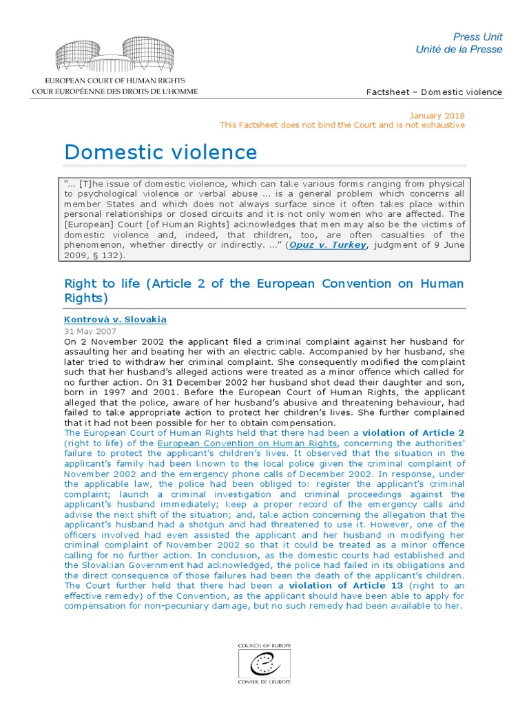 FS Domestic Violence ENG | PDF | European Convention On Human Rights ...