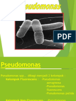 Pseudomonas