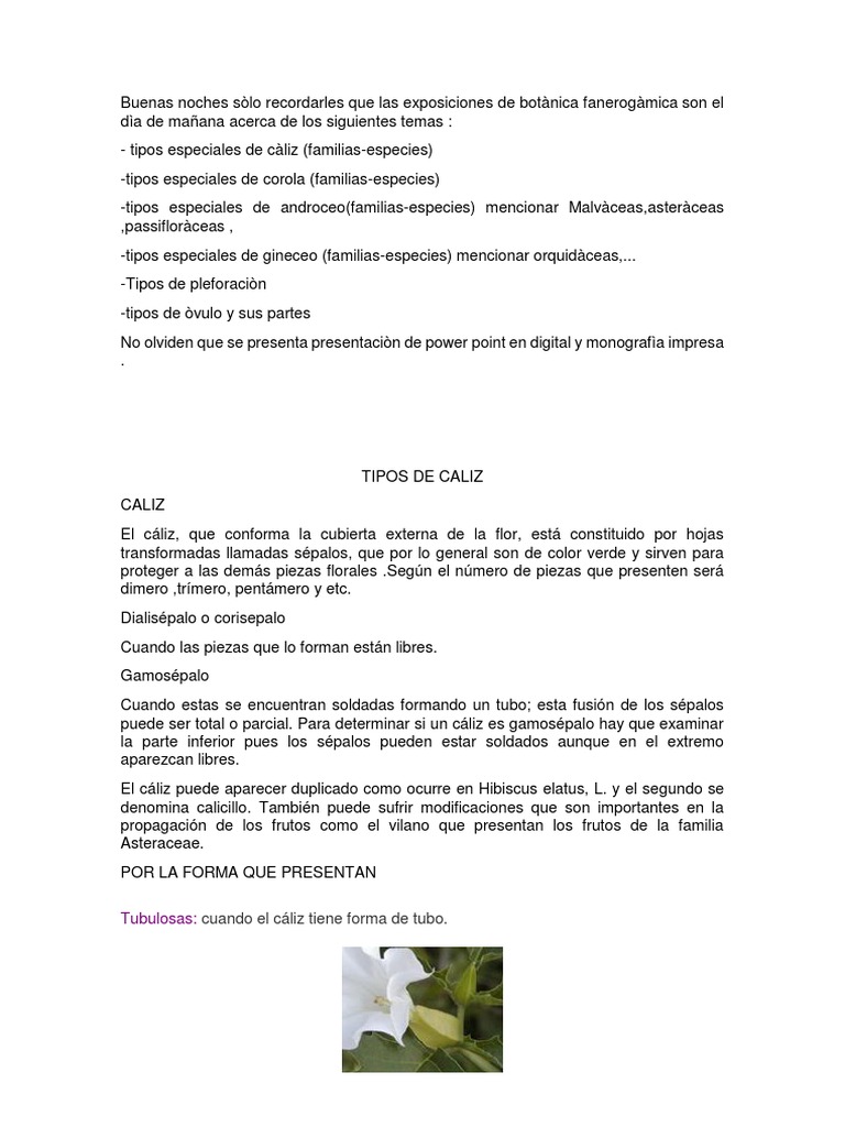 Tipos de piezas florales: cáliz, corola y androceo | PDF | Flores | Plantas
