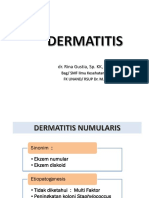 KP 3.4.4.1 Dermatitis Part 1