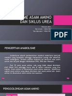 Anabolisme Asam Amino Dan Siklus Urea