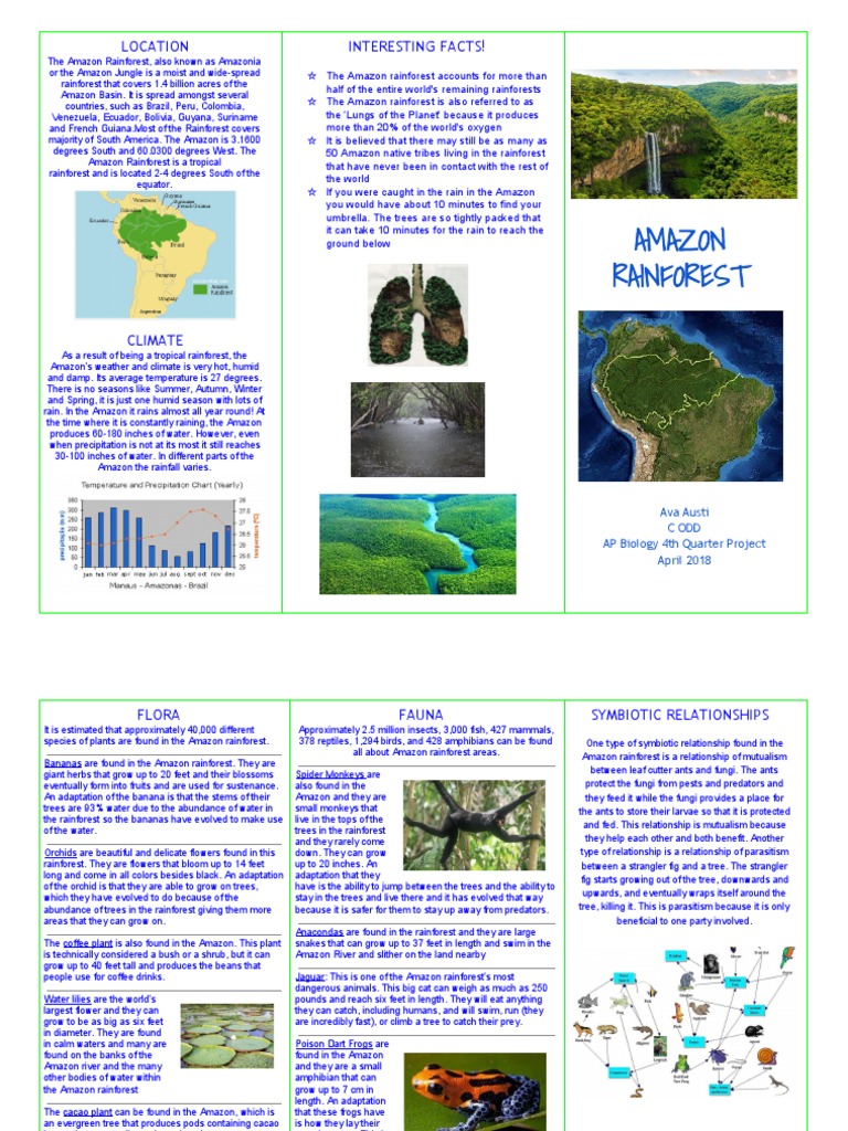 Top 10 Most Amazing And Strangest Plants In The World The Mysterious World Rainforest Plants Plants Amazon Rainforest Plants