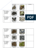Lichen Tabel Klasifikasi