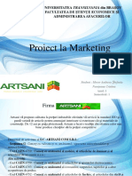 Proiect Marketing - Artsani