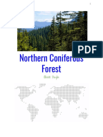 Olivia's Coniferous Forest Brochure