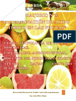 Práctica 3- Determinación de Ácido Cítrico en Las Frutas
