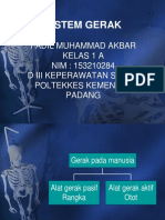 Sistem Gerak Pada Manusia