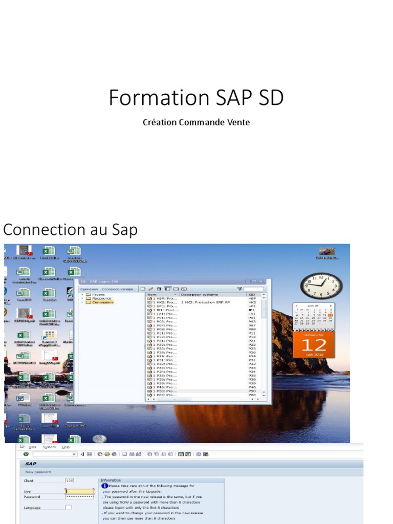 Formation SAP SD PDF | PDF