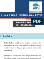 DT LUKA BAKAR, LISTRIK DAN PETIR - Audi