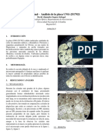 Informe Basico de Mineralogia Optica Roca Mafica