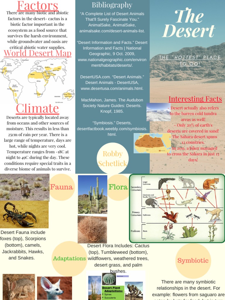 Robby's Desert Biome Travel Brochure | PDF | Desert | Symbiosis