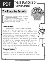 Executive Branch Article