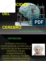 380088971.plasticidad Neuronal