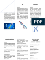 Anomalías Genéticas Trifoleado