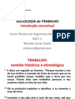 02 - Sociologia Do Trabalho - Introdução Conceitual