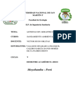 INFORME SANEAMIENTO.docx