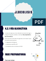 4.2 Glucolisiss