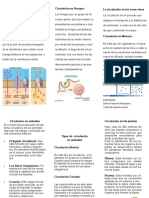 Folleto Circulación