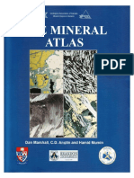 Atlas of Ore Minerals.pdf