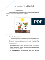 146603915-Informe-Perdida-de-Agua-Por-Las-Plantas.docx