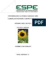 Informe Girasol