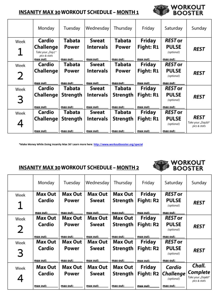 Insanity Max 30 Workout Schedule PDF PDF
