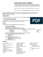 Insuficiencia Renal Aguda y Cronica Semio Parcial