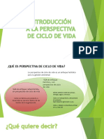 Introduccion Perspectiva Ciclo de Vida