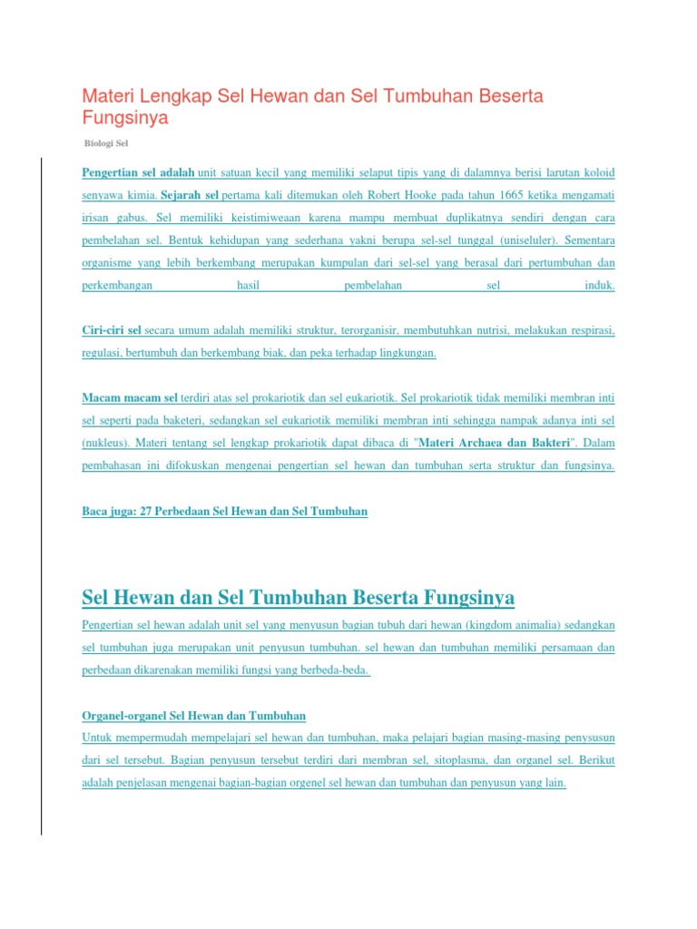 68 Gambar Eukariotik Hewan Dan Tumbuhan Gratis