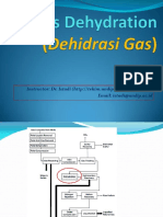 06-gas-dehydration.pdf