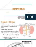 Suprarrenales