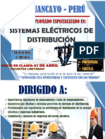 Brochure de Diplomado Sed PDF
