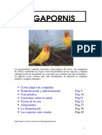 Manual de Agapornis.pdf
