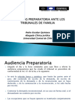 Audiencias Preparatoria