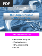 The Characterization of DNA Molecules