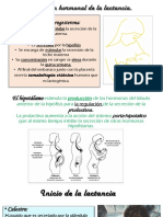 Regulación Hormonal de La Lactancia