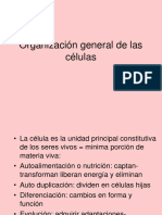 3Organización General de Las Células